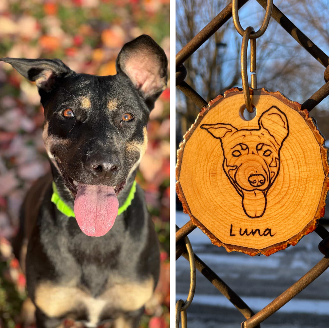 Custom pet portrait ornament