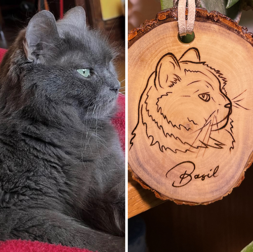 Custom pet portrait ornament